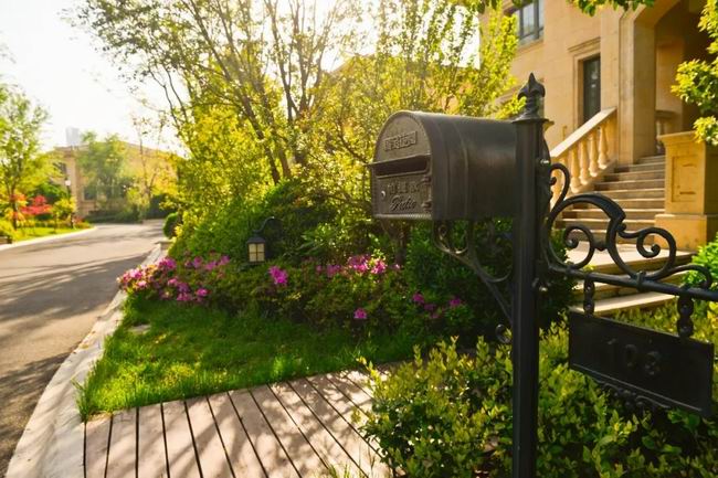 5月的国宝，，享受初夏的惬意时光